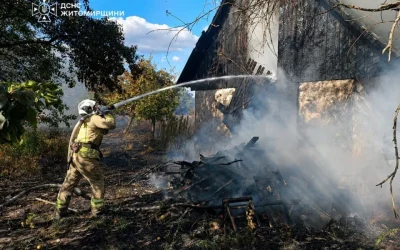 У селі Коростенського району рятувальники боролися з пожежею: вогонь із сухої трави перекинувся на занедбану будівлю