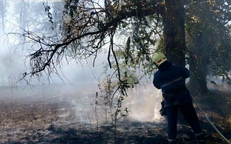Отримав опіки обличчя та ніг: у селі Ушомирської громади пенсіонер намагався загасити займання сухої рослинності
