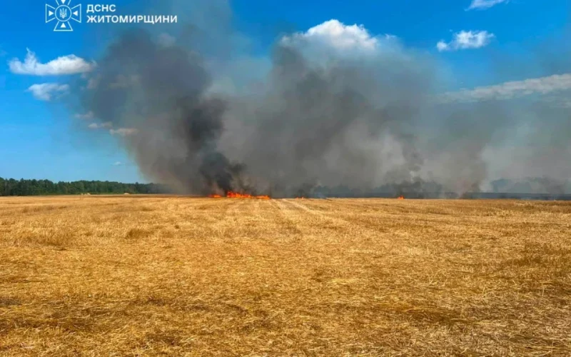 У Коростені рятувальники ліквідували займання сухостою: існувала загроза поширення вогню на житлові будинки