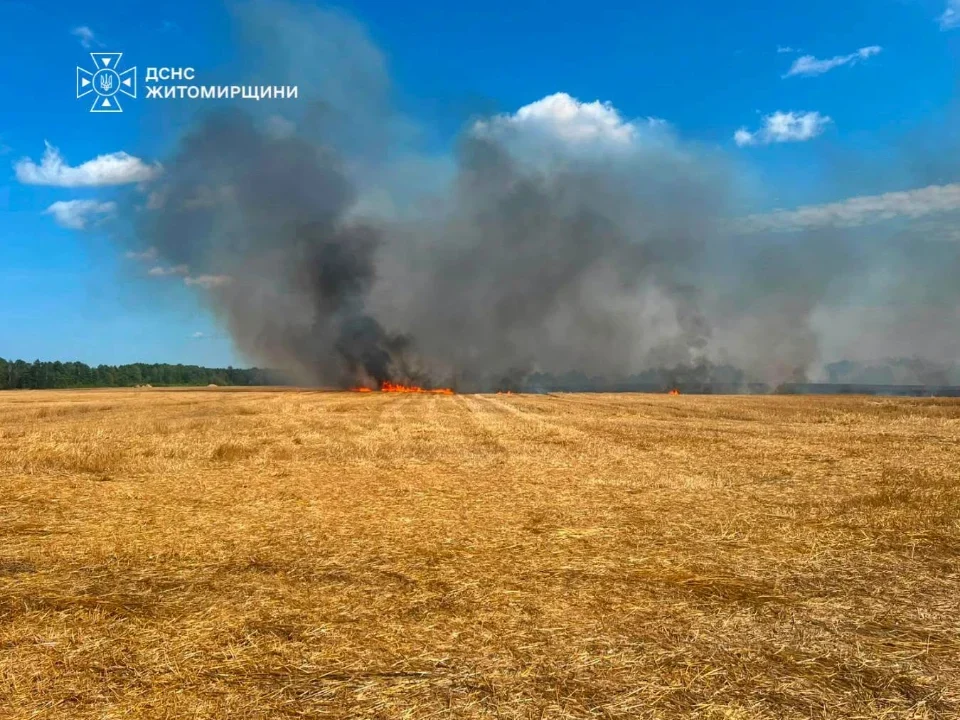 У Коростені рятувальники ліквідували займання сухостою: існувала загроза поширення вогню на житлові будинки