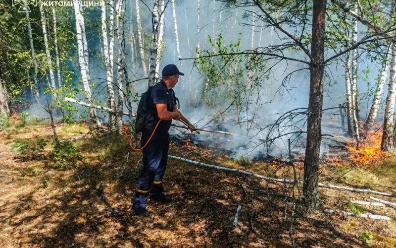 У Коростенському районі лісівники спільно з рятувальниками борються з лісовою пожежею