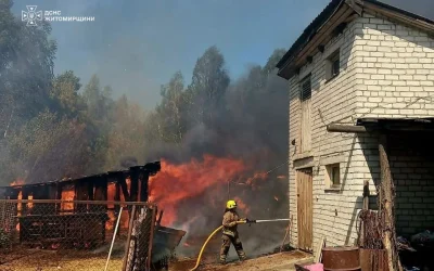 Через вітряну погоду вогонь з сухостою охопив приватні домоволодіння у селі Коростенського району