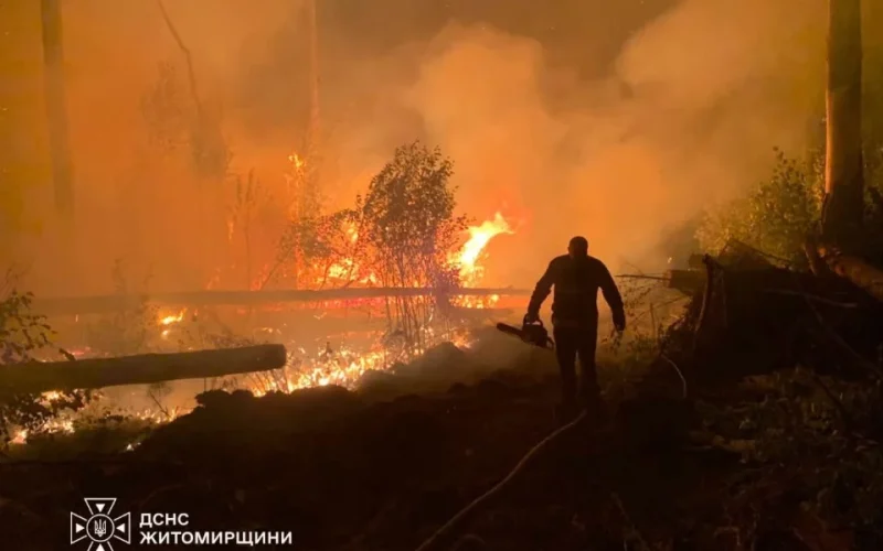 Рятувальники продовжують приборкували лісову пожежу у заповіднику на території Народицької громади
