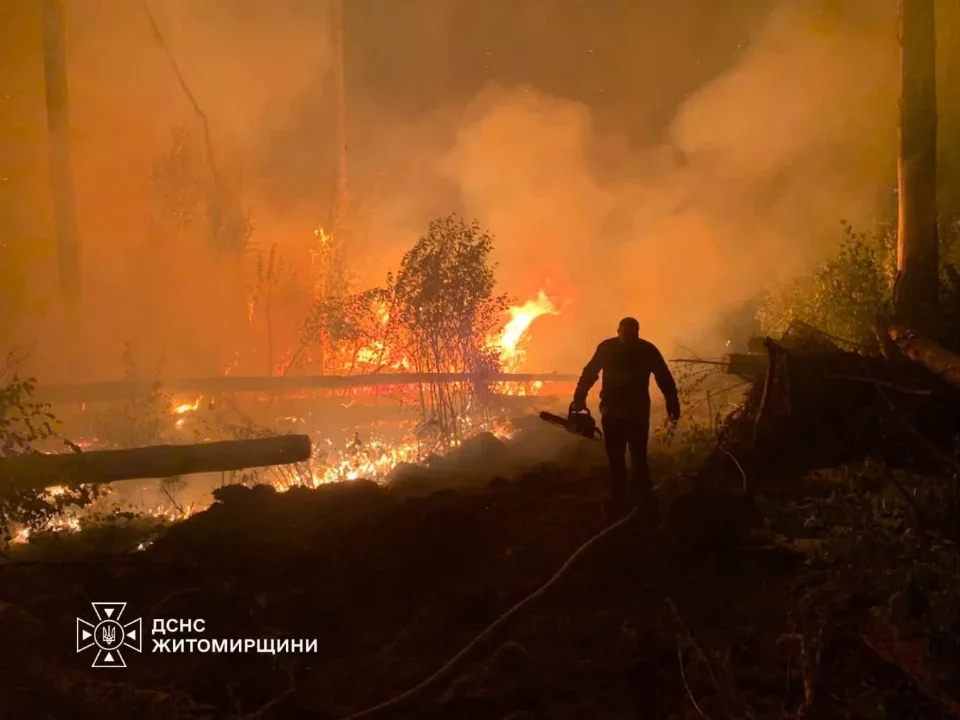 Рятувальники продовжують приборкували лісову пожежу у заповіднику на території Народицької громади