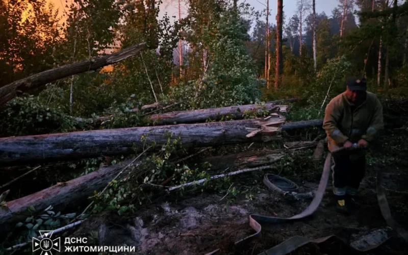 У Народицькій громаді на території заповідника триває ліквідація пожежі
