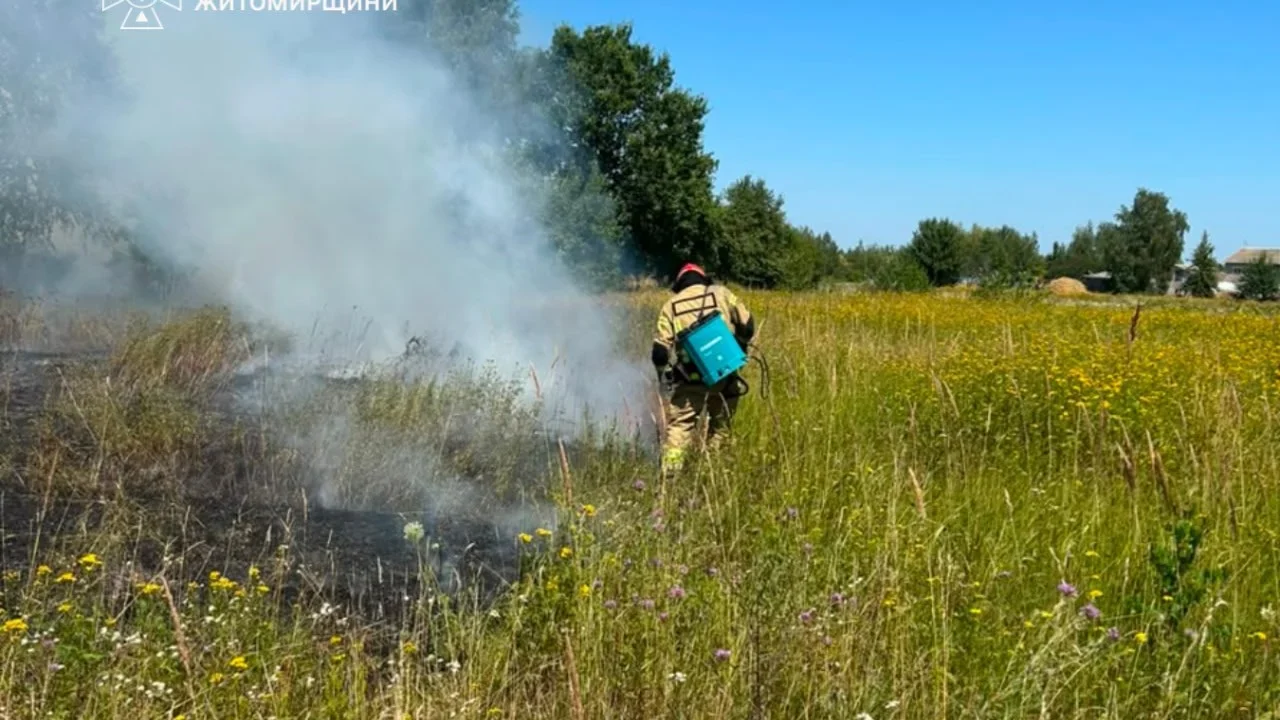 У Коростенському районі під час гасіння сухостою рятувальники виявили тіло жінки