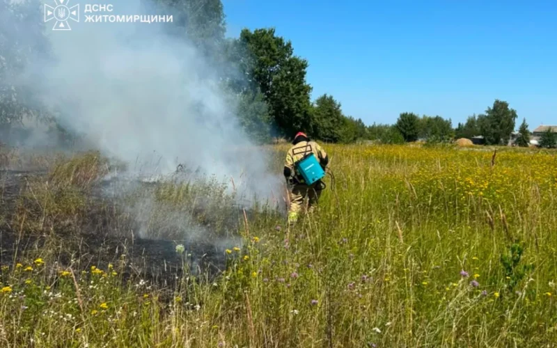 У Коростенському районі під час гасіння сухостою рятувальники виявили тіло жінки