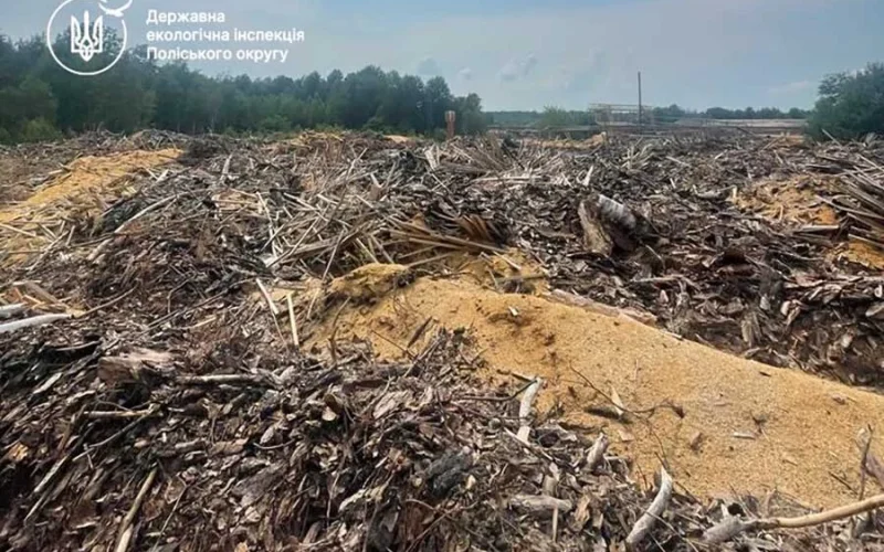 На Овруччині 2 га лісових земель засипали тирсою: «Ліси України» сплатили понад 1,5 млн грн збитків