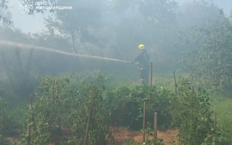 На Коростенщині за добу сталося кілька пожеж сухостою: у Лугинах вогонь загрожував господарству
