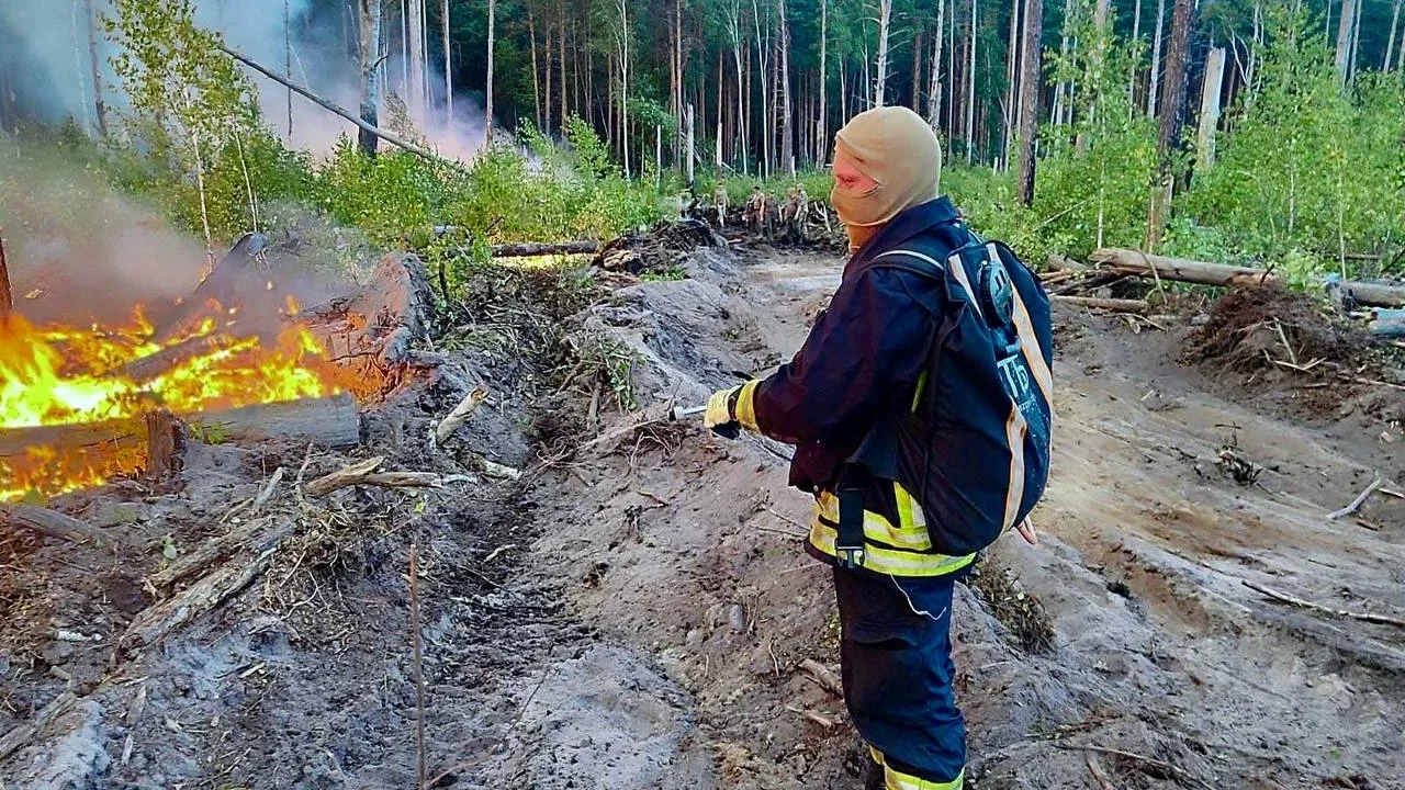 У Коростенському районі чотири дні гасили пожежу в лісовому масиві