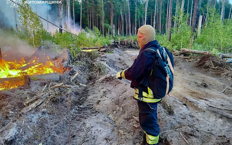 У Коростенському районі чотири дні гасили пожежу в лісовому масиві
