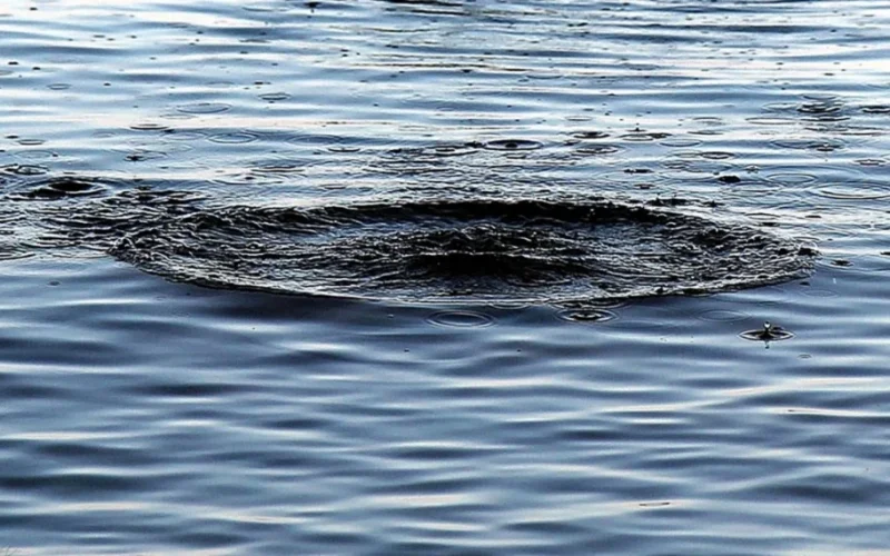 У Житомирській області з водойми та криниці дістали тіла двох людей