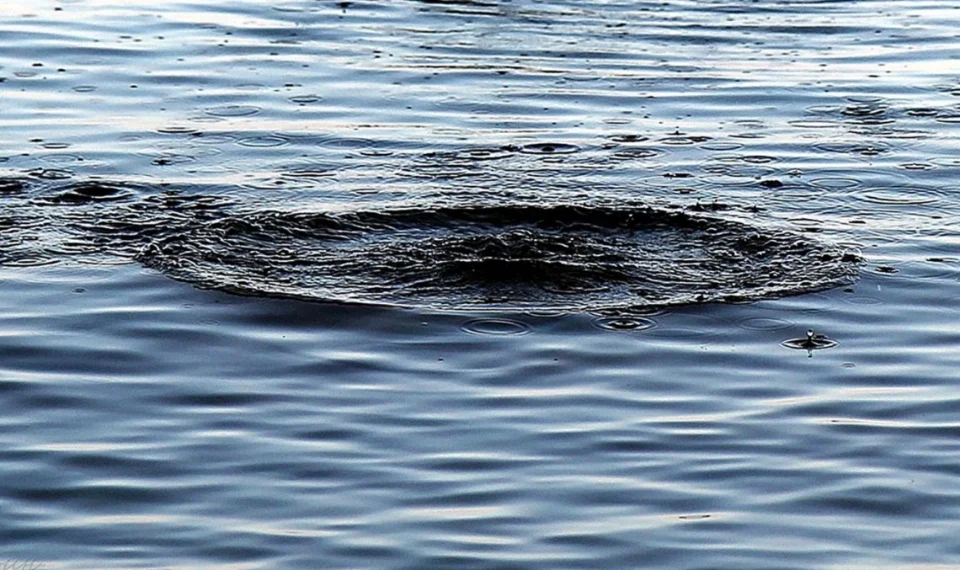 У Житомирській області з водойми та криниці дістали тіла двох людей