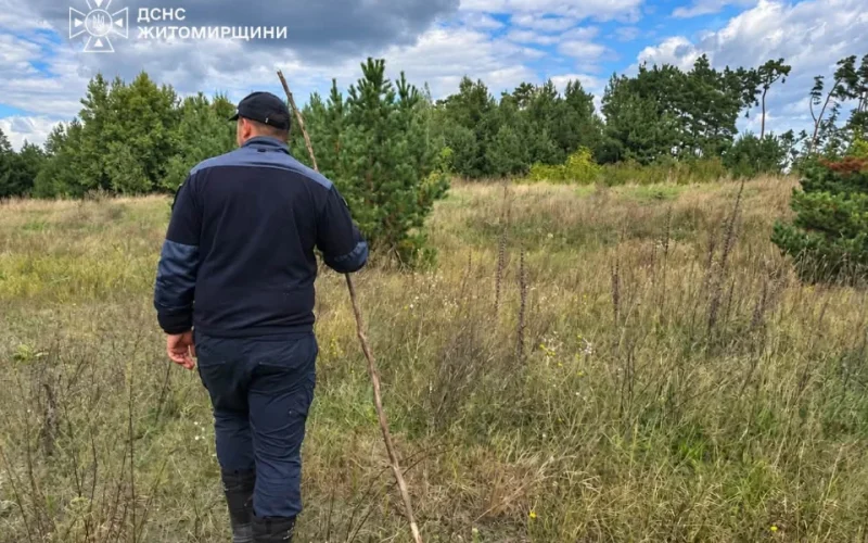 У Житомирській області розшукали 53-річну жінку, яка пішла до лісу по гриби та зникла на 4 дні