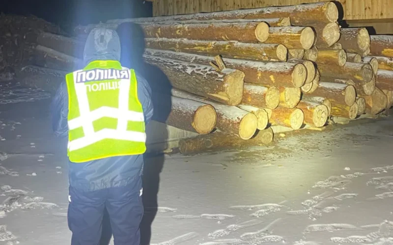 Незаконно рубали сосни в заказнику на Олевщині: правоохоронці викрили лісорубів, збитки від діяльності яких оцінили у майже 3 млн грн