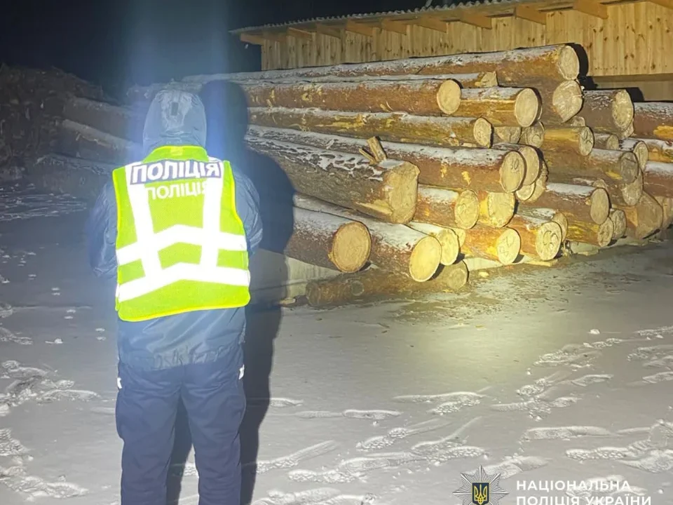 Незаконно рубали сосни в заказнику на Олевщині: правоохоронці викрили лісорубів, збитки від діяльності яких оцінили у майже 3 млн грн