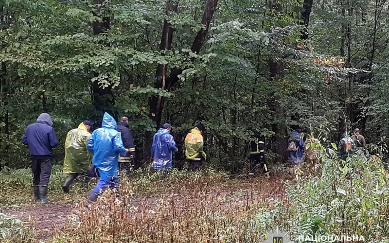 Зниклого на Малинщині пенсіонера знайшли: він сам вийшов із лісу та заночував у селі Іршанської громади