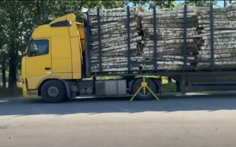 На Житомирщині зупинили дві перевантажені фури з деревиною: одна важила майже 58 тонн