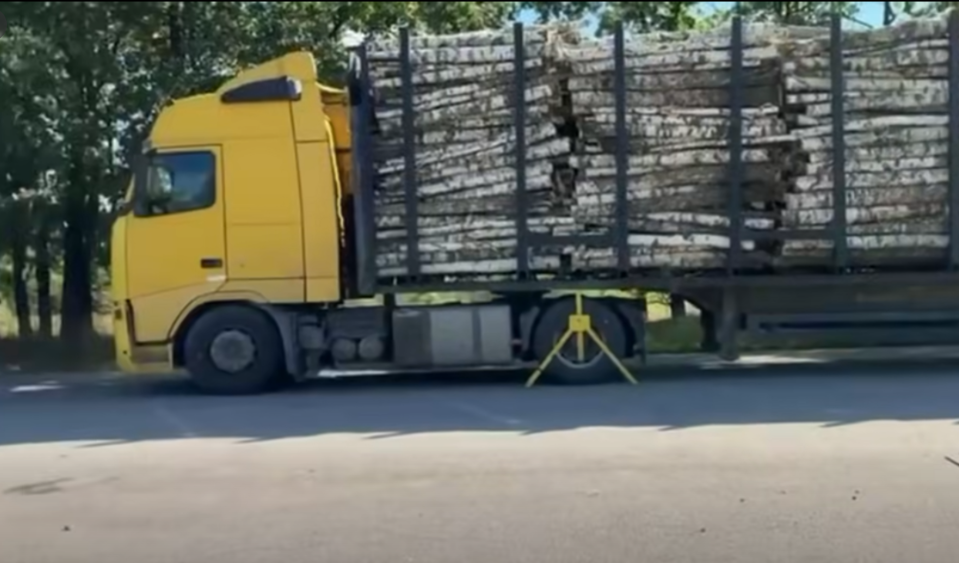 На Житомирщині зупинили дві перевантажені фури з деревиною: одна важила майже 58 тонн