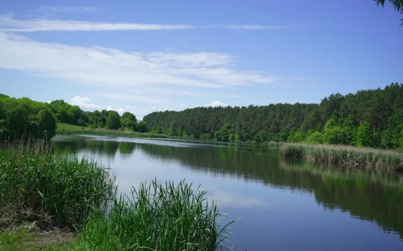 Рівень води в річках Житомирщини продовжить знижуватися, – Гідрометцентр