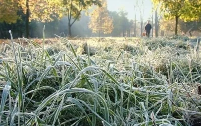 У Житомирській області очікують сильні заморозки