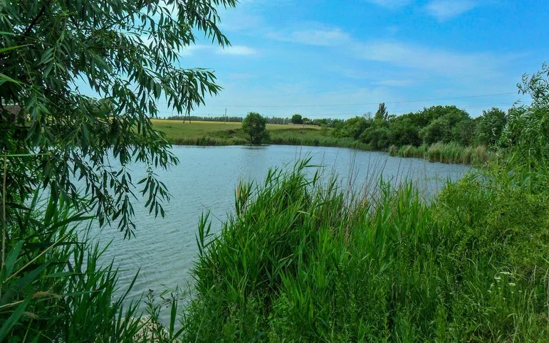 В одній з коростенських водойм виявили тіло 82-річної жінки