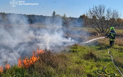 У селі на Олевщині горіла суха трава, вогонь ледь не перекинувся на господарчі будівлі