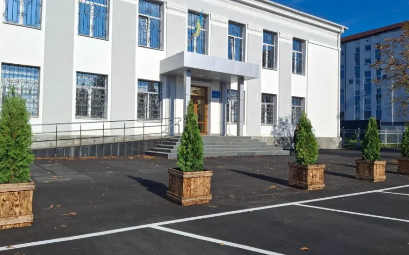 У центрі Малина з’явилася нова зелена алея з декоративних туй