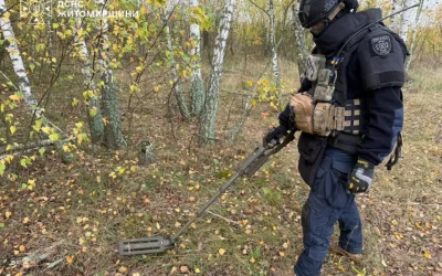 На околиці лісу в селі Коростенської громади знайшли мінометну міну