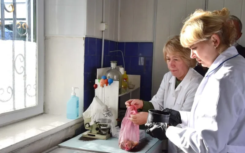 Гриби, ягоди та м’ясо: що перевіряють у лабораторіях на ринках Коростеня