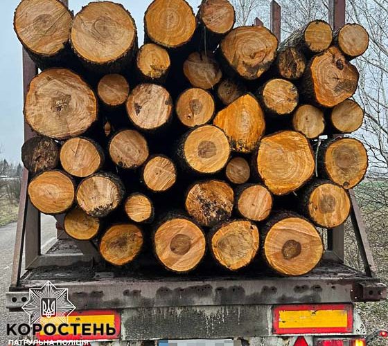 Минулої доби на автодорогах в Коростенському районі патрульні виявили вантажівки з деревиною: з документами на товар були проблеми ?