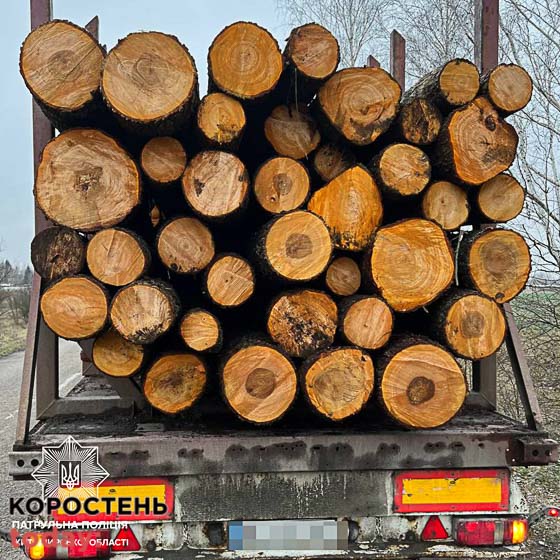 Минулої доби на автодорогах в Коростенському районі патрульні виявили вантажівки з деревиною: з документами на товар були проблеми ?