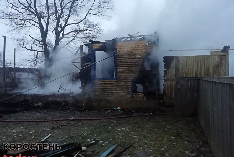 Вночі в селі Народицької громади горів будинок, рятувальники виявили тіло господаря