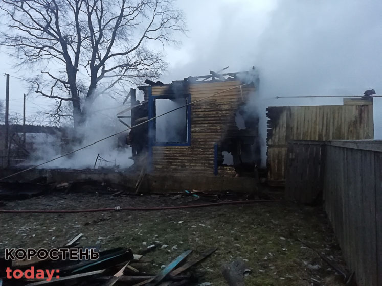 Вночі в селі Народицької громади горів будинок, рятувальники виявили тіло господаря