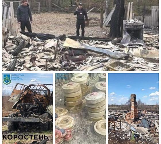 Рік війни в цифрах та фактах у Житомирській області
