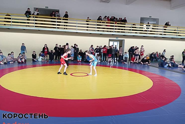 У Коростені два дні тривав чемпіонат області з вільної боротьби