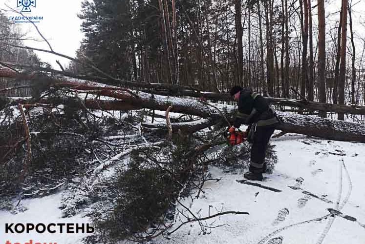 Через сильний вітер на Коростенщині без світла лишились кілька населених пунктів