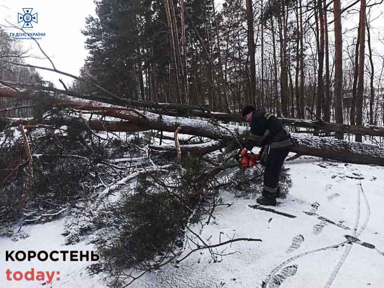 Через сильний вітер на Коростенщині без світла лишились кілька населених пунктів