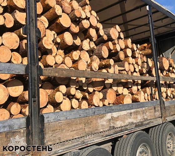 З початку місяця патрульні виявили 13 випадків незаконного перевезення деревини дорогами Житомирської області