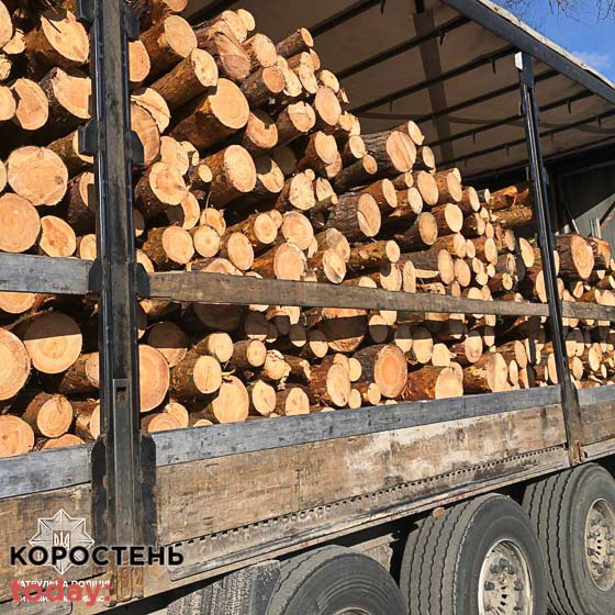 З початку місяця патрульні виявили 13 випадків незаконного перевезення деревини дорогами Житомирської області
