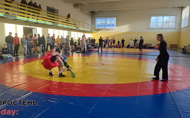 Малинські спортсмени вибороли медалі на чемпіонаті області з вільної боротьби