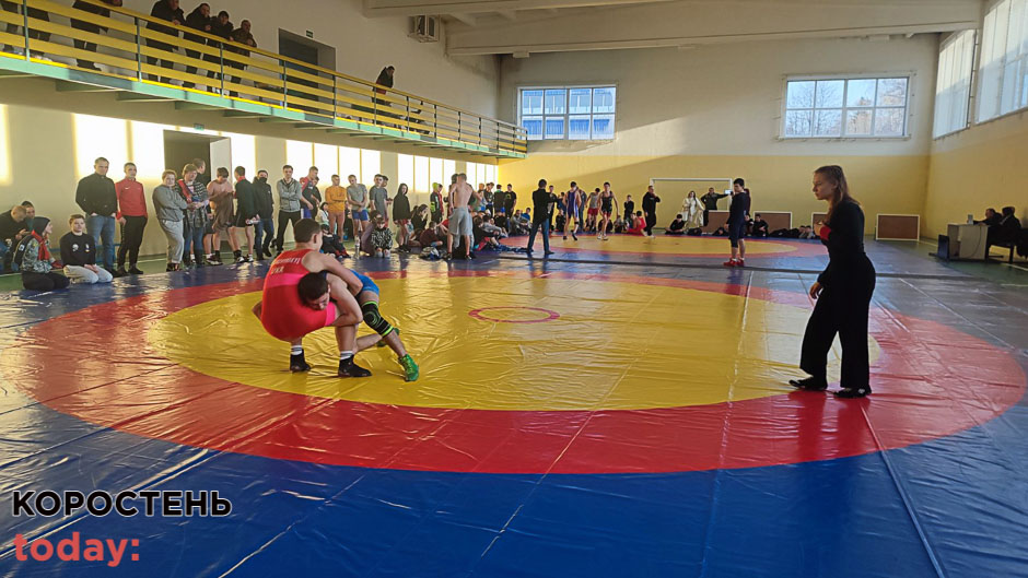 Малинські спортсмени вибороли медалі на чемпіонаті області з вільної боротьби
