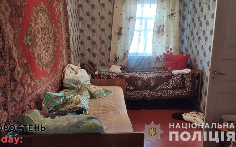 На 9 років за грати сяде жінка з Коростенського району, яка п’яною забила лежачу матір