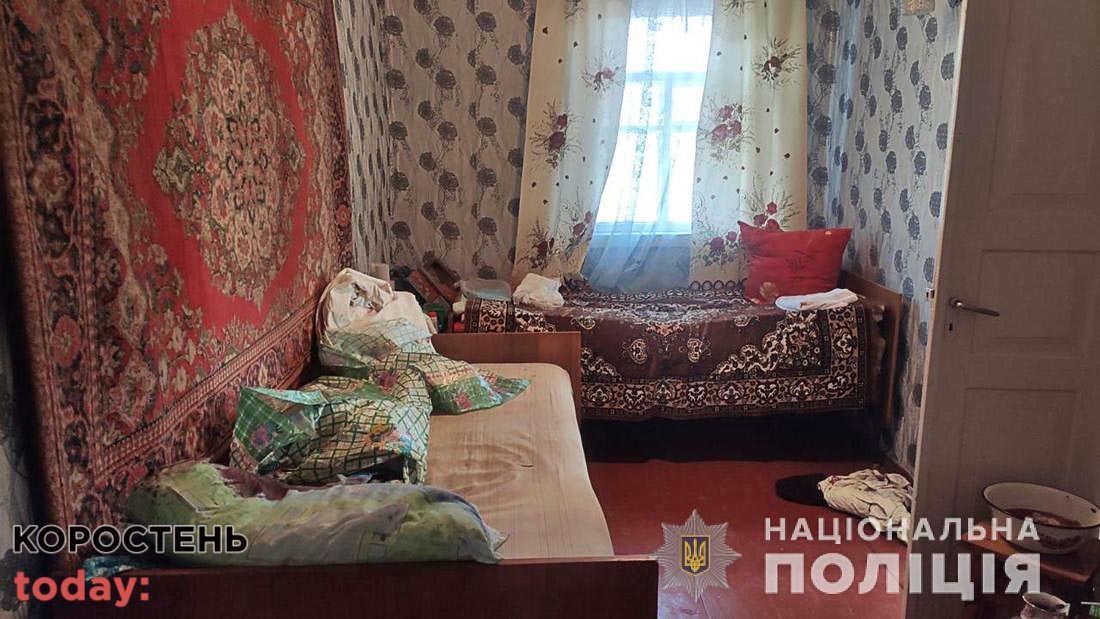 На 9 років за грати сяде жінка з Коростенського району, яка п’яною забила лежачу матір
