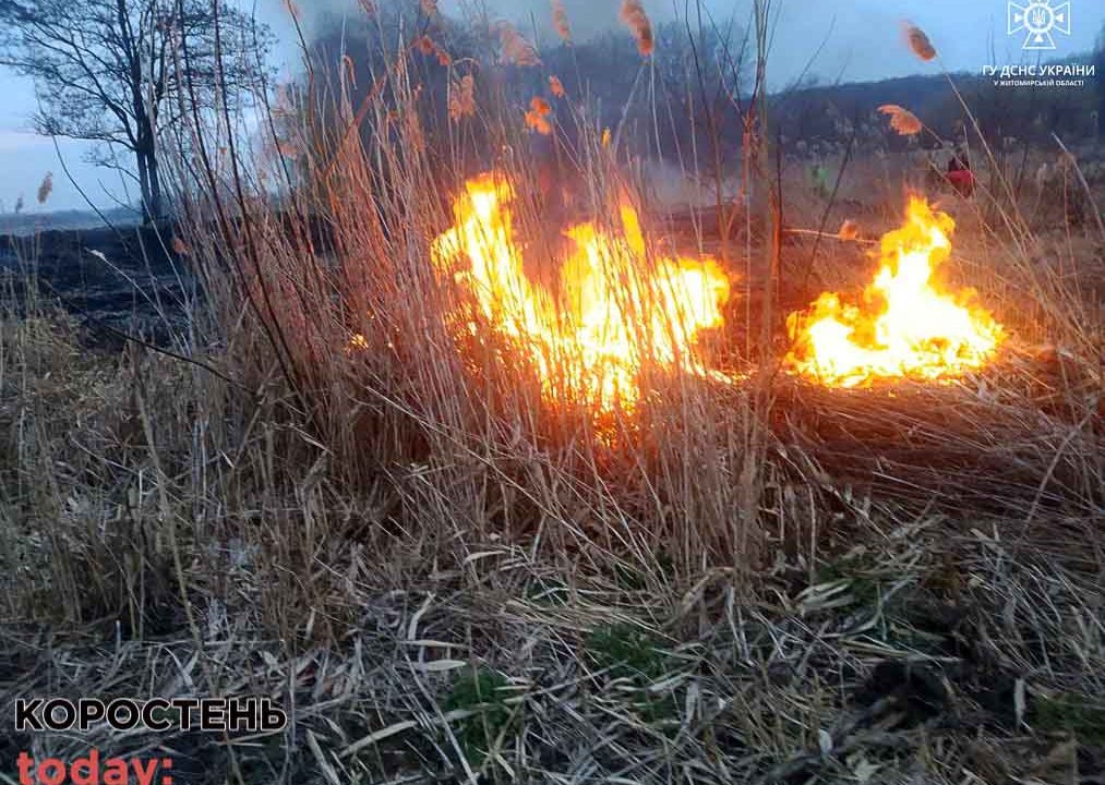 У селі Овруцької громади неподалік кладовища горіла суха трава площею 1 га (ФОТО)