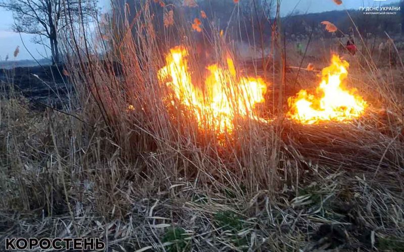 У селі Овруцької громади неподалік кладовища горіла суха трава площею 1 га (ФОТО)