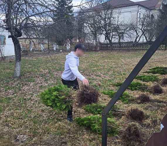 В Олевську біля меморіалу загиблим воїнам АТО чоловік намагався викрасти туї (ФОТО)