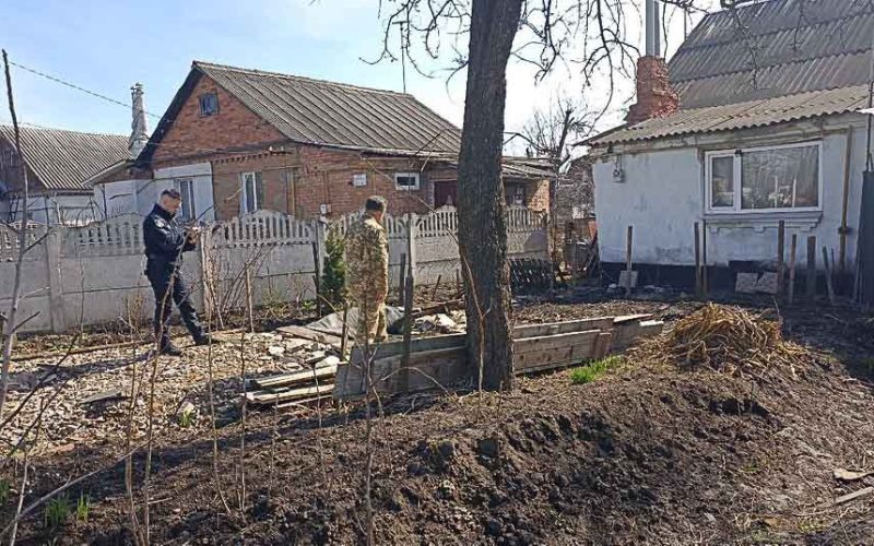 На городі житомирянина поліція виявила 5 мертвих собак на прапорі України