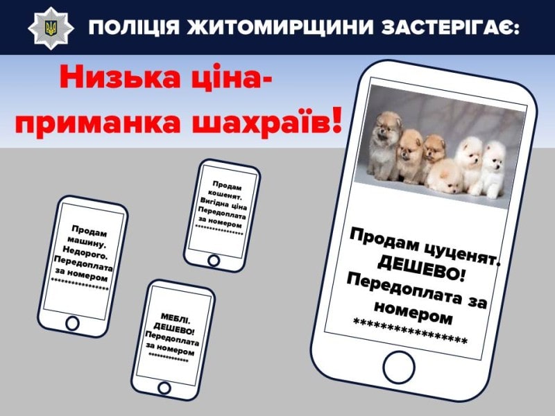 Продавав неіснуючих собак та автомобілі: коростенські поліцейські оголосили про підозру шахраю, який вже знаходиться за гратами