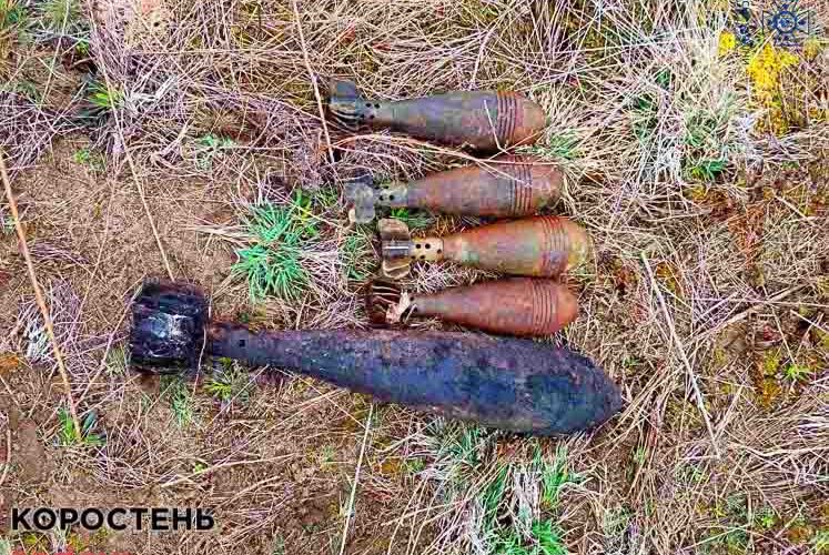 У селі неподалік Коростеня люди виявили вибухонебезпечні предмети (ФОТО)